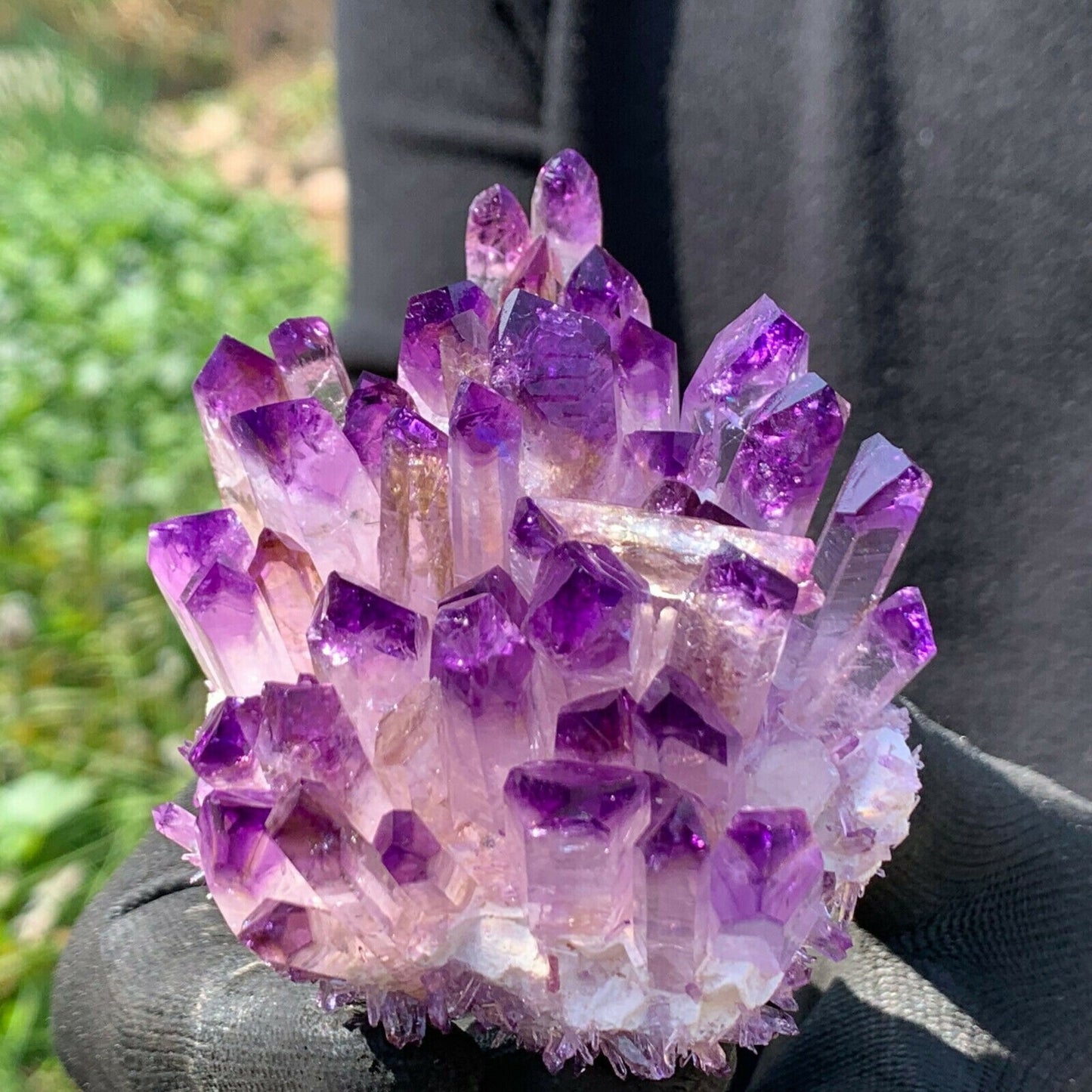 Phantom Quartz Crystal Cluster Mineral Specimen