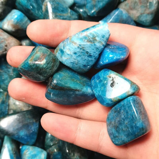 Natural Blue Apatite Tumbled Crystal Stones Polished Ornament