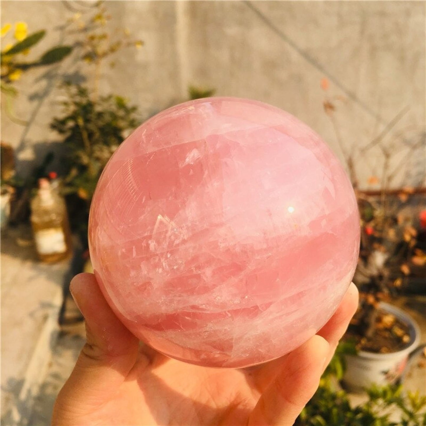 Natural Rose Quartz Crystal Ball Ornament Specimen
