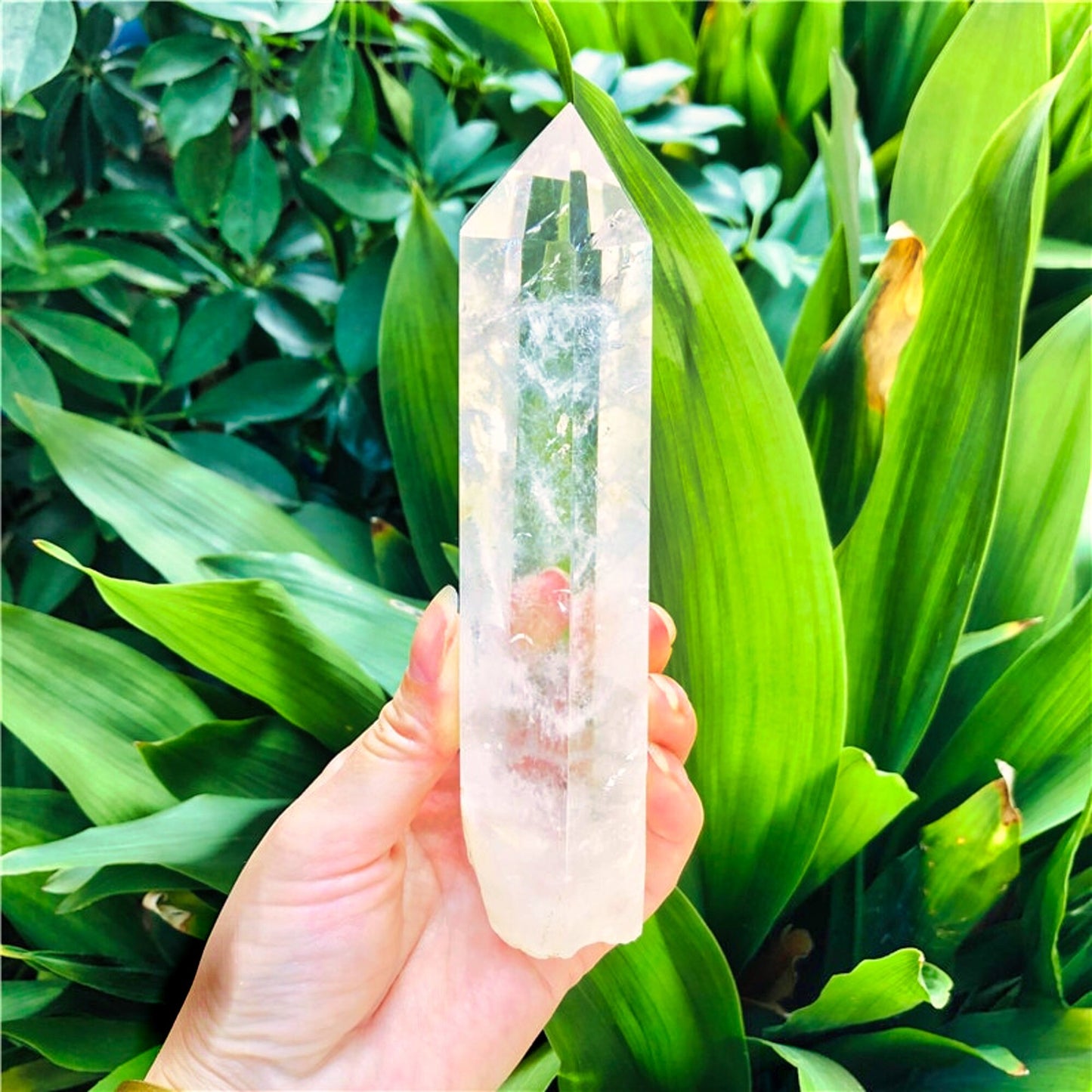 Large Clear Lemurian Seed Quartz Natural Point Cluster Crystal Rough Healing 350-400g