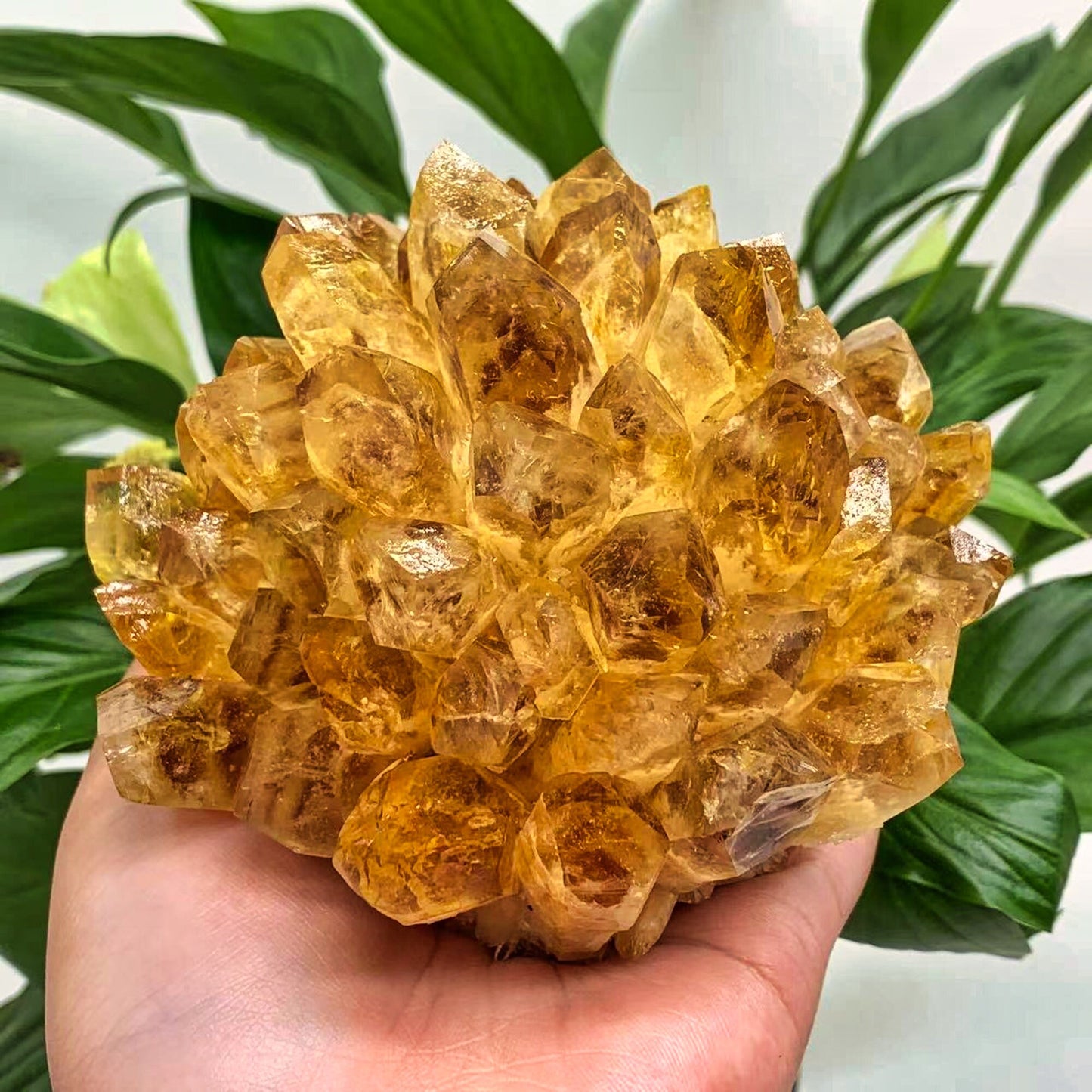 Natural Raw Citrine Quartz Stone Crystal Cluster Healing Yellow Stones Mineral Specimen Home Decoration