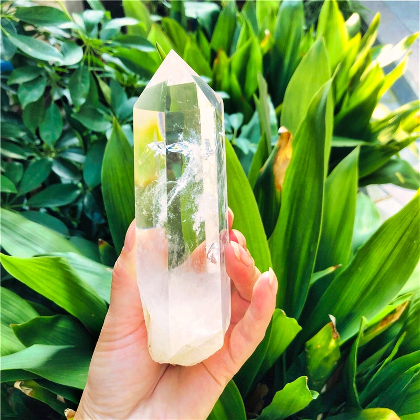 Large Clear Lemurian Seed Quartz Natural Point Cluster Crystal Rough Healing 350-400g