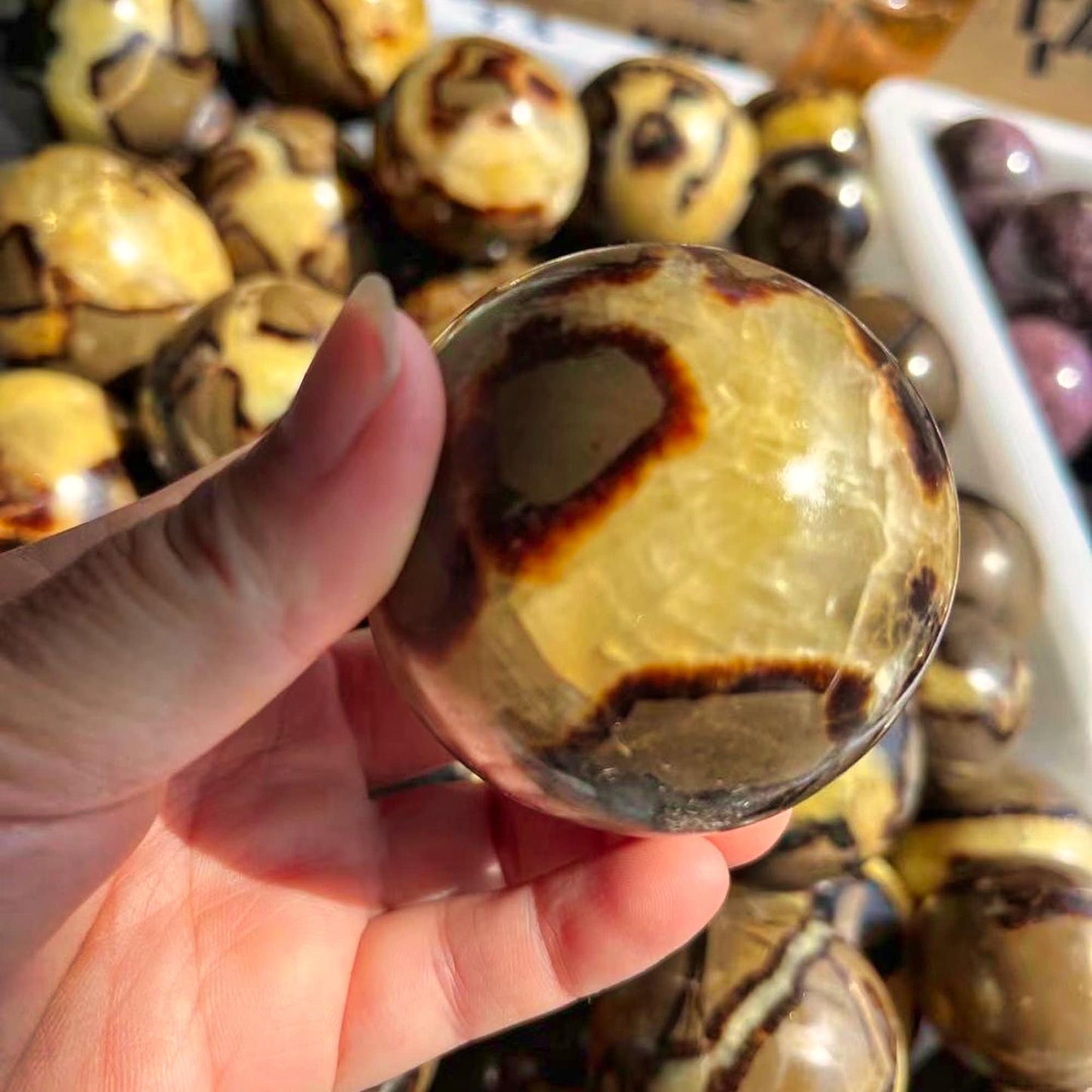 Natural Septarian Dragon Stone Fossil Crystal Sphere Ball - 8-9cm - Healing - Free Shipping (1pc)