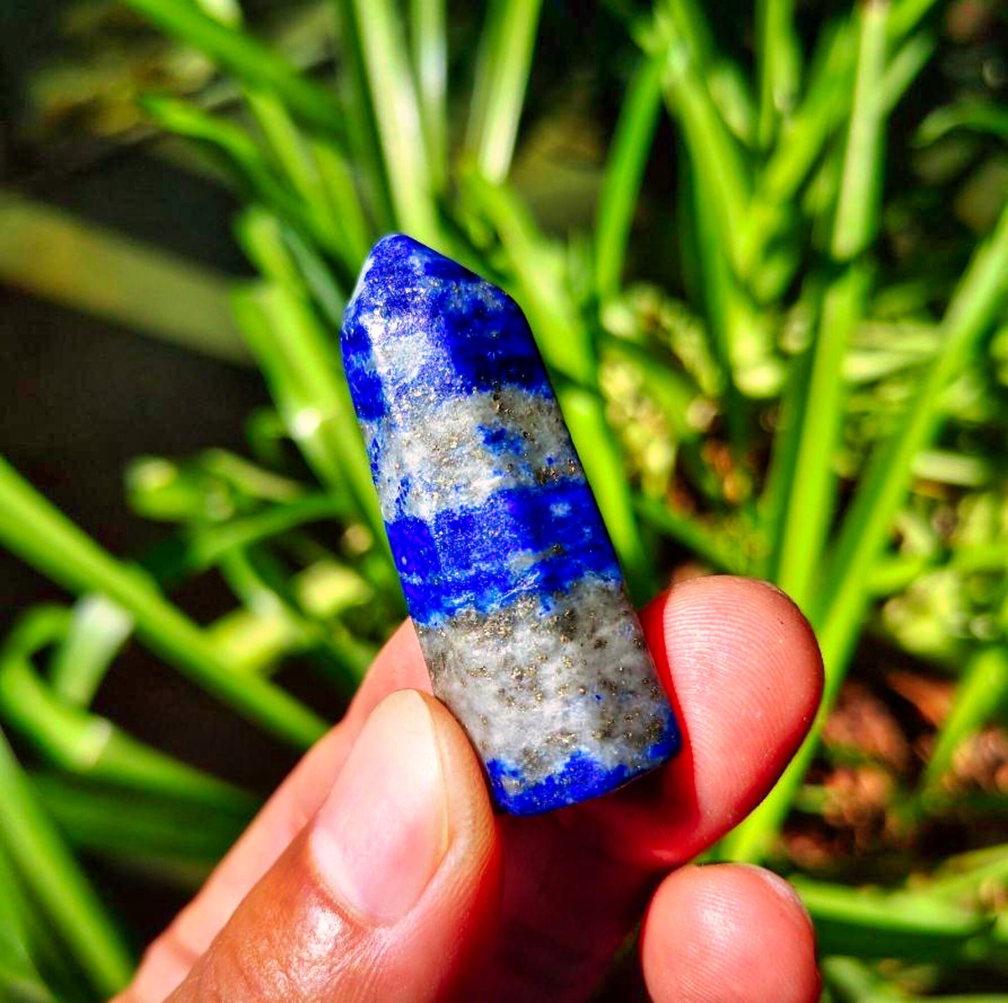 Natural Lapis Lazuli Quartz Crystal Wand Point Healing Set of 5